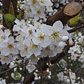 20140306_152835.JPG