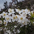 20140306_152844.JPG