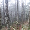 20140307_064447.JPG