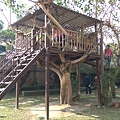 IMAG3932.jpg