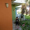 IMAG9292.jpg