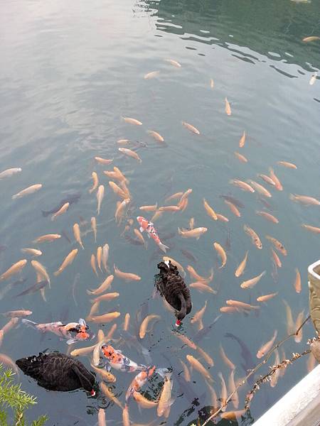 20130807_172130.jpg