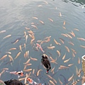 20130807_172130.jpg