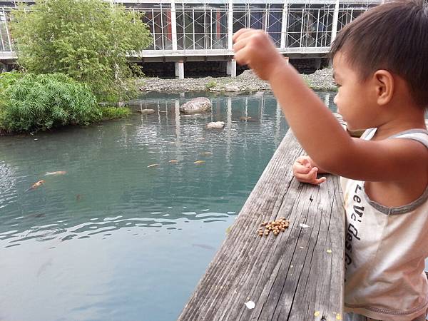 20130807_171908.jpg