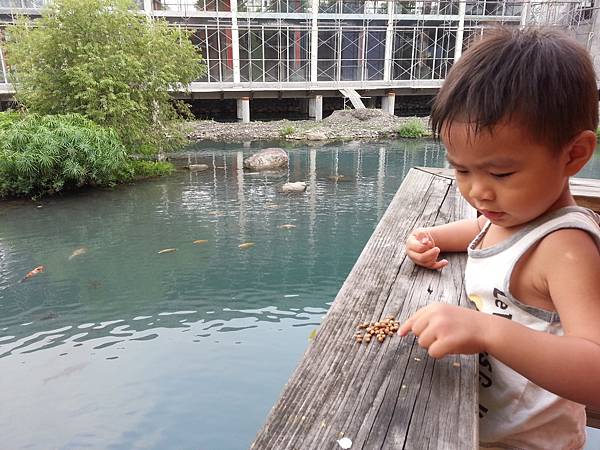 20130807_171910.jpg