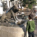 IMAG8162.jpg