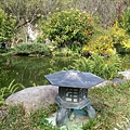 IMAG8324.jpg