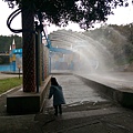 IMAG0048.jpg
