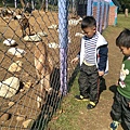 IMAG0176.jpg