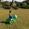 IMAG0243.jpg