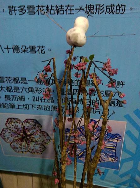 IMAG9954.jpg
