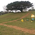 IMAG9917.jpg