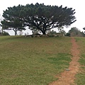 IMAG9914.jpg