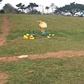 IMAG9913.jpg