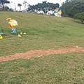 IMAG9912.jpg
