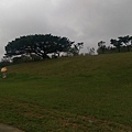 IMAG9911.jpg
