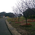 IMAG9909.jpg