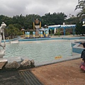 IMAG9905.jpg