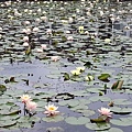 20140414_114835.jpg