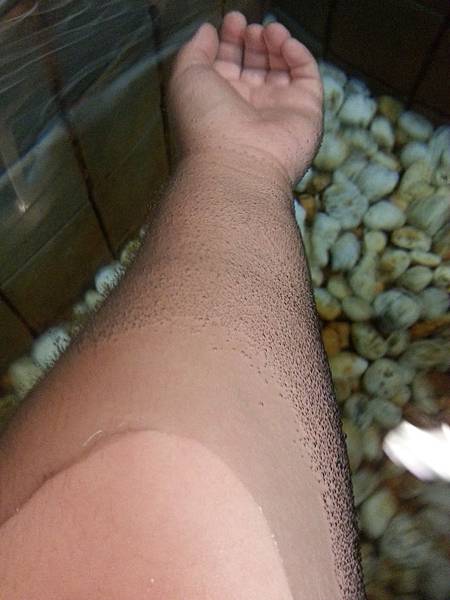 20140415_133324.jpg