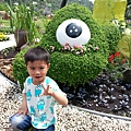 20140416_115805.jpg