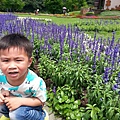 20140416_120933.jpg