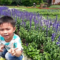 20140416_120935.jpg