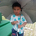 20140416_124938.jpg