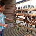 20140416_165846.jpg