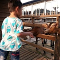 20140416_165849.jpg