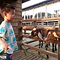 20140416_165858.jpg