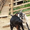 20140416_170320.jpg