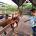 20140416_165918.jpg