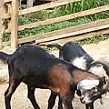 20140416_170322.jpg