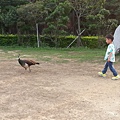 20140416_170747.jpg