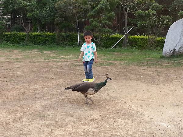 20140416_170749.jpg