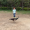 20140416_170749.jpg