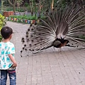 20140416_170937.jpg