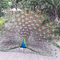 20140416_171003.jpg