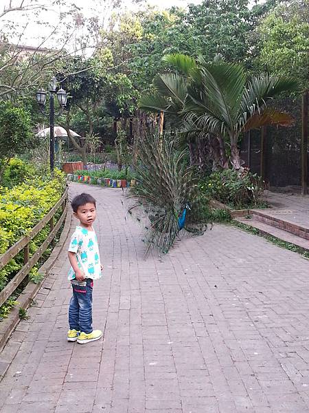 20140416_170945.jpg