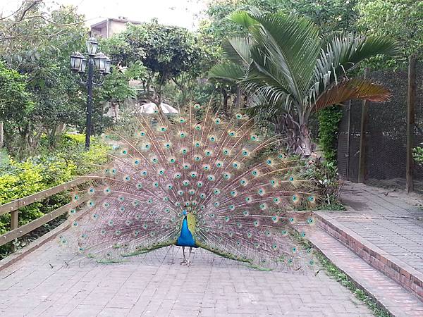 20140416_170958.jpg