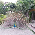 20140416_170958.jpg
