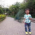 20140416_171112.jpg