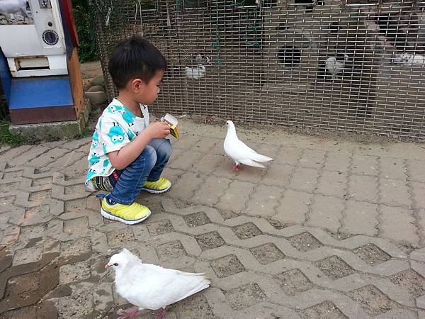 20140416_171320.jpg