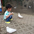 20140416_171320.jpg