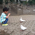 20140416_171304.jpg