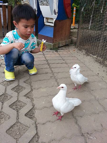 20140416_171346.jpg