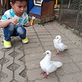 20140416_171346.jpg