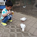 20140416_171330.jpg