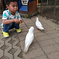20140416_171411.jpg
